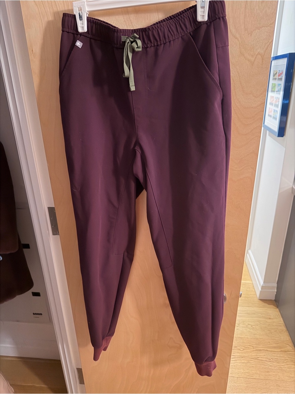 Figs Men's Plum Joggers with Olive Drawstring
